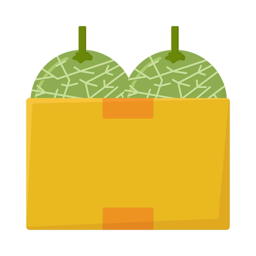 Cantalupo en caja ilustración vector