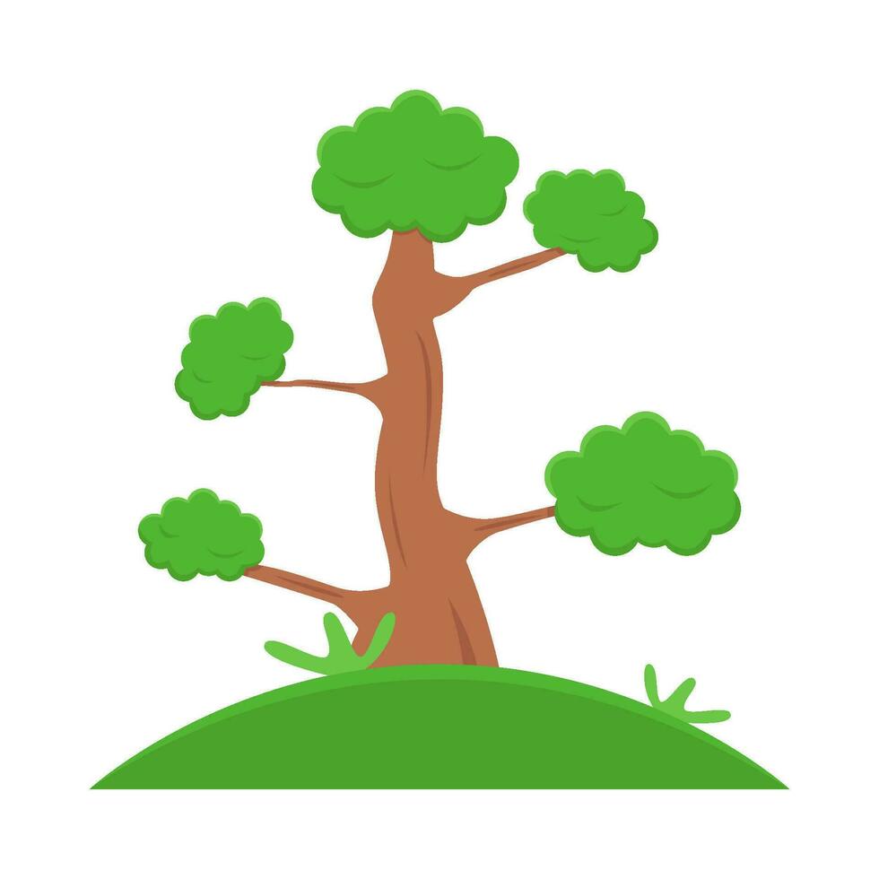 bonsai tree in garden illustration vector