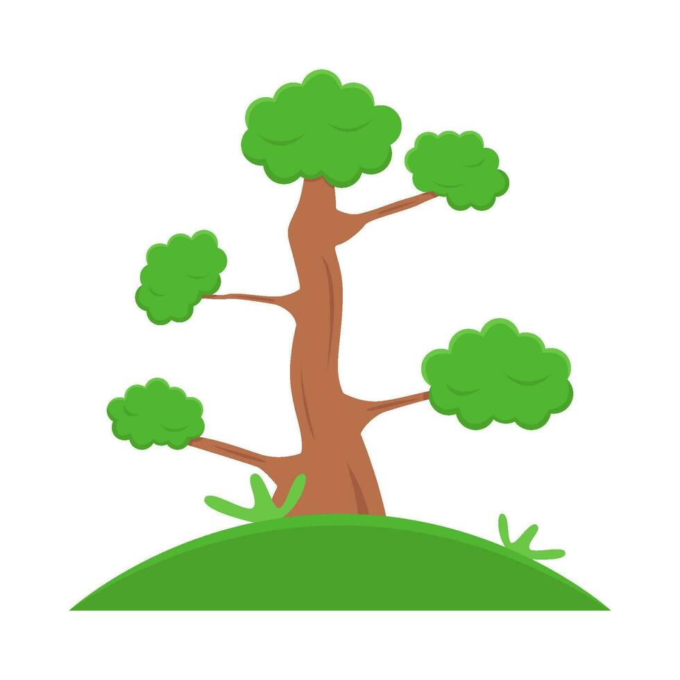 bonsai tree in garden illustration vector