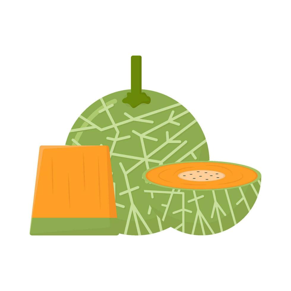 cantaloupe with cantaloupe slice illustration vector