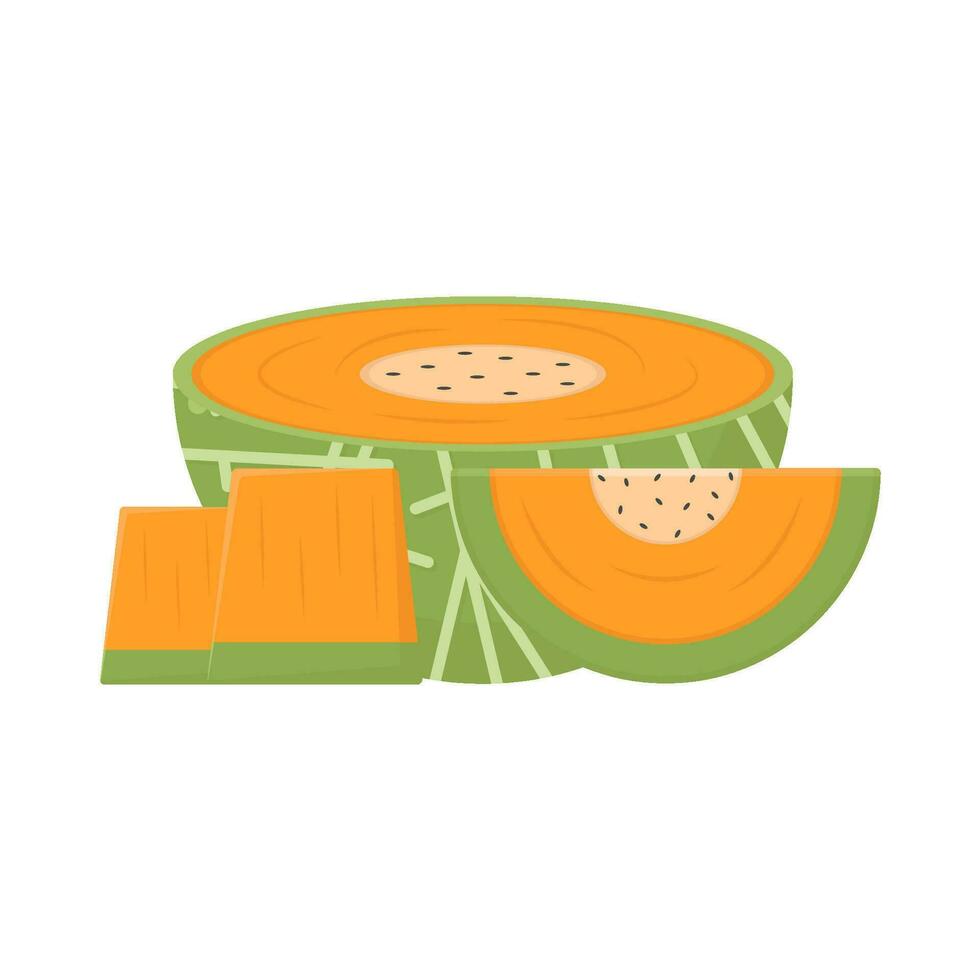 cantaloupe slice illustration vector