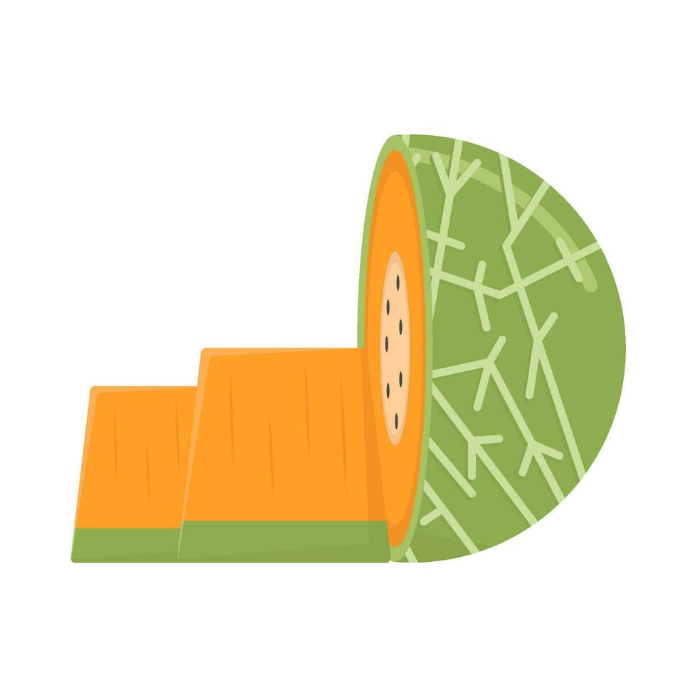 Cantalupo rebanada ilustración vector