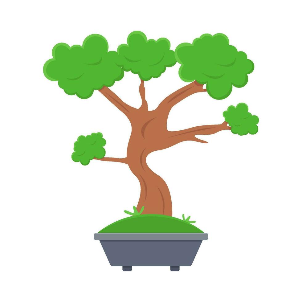 bonsai tree in pot  illustration vector