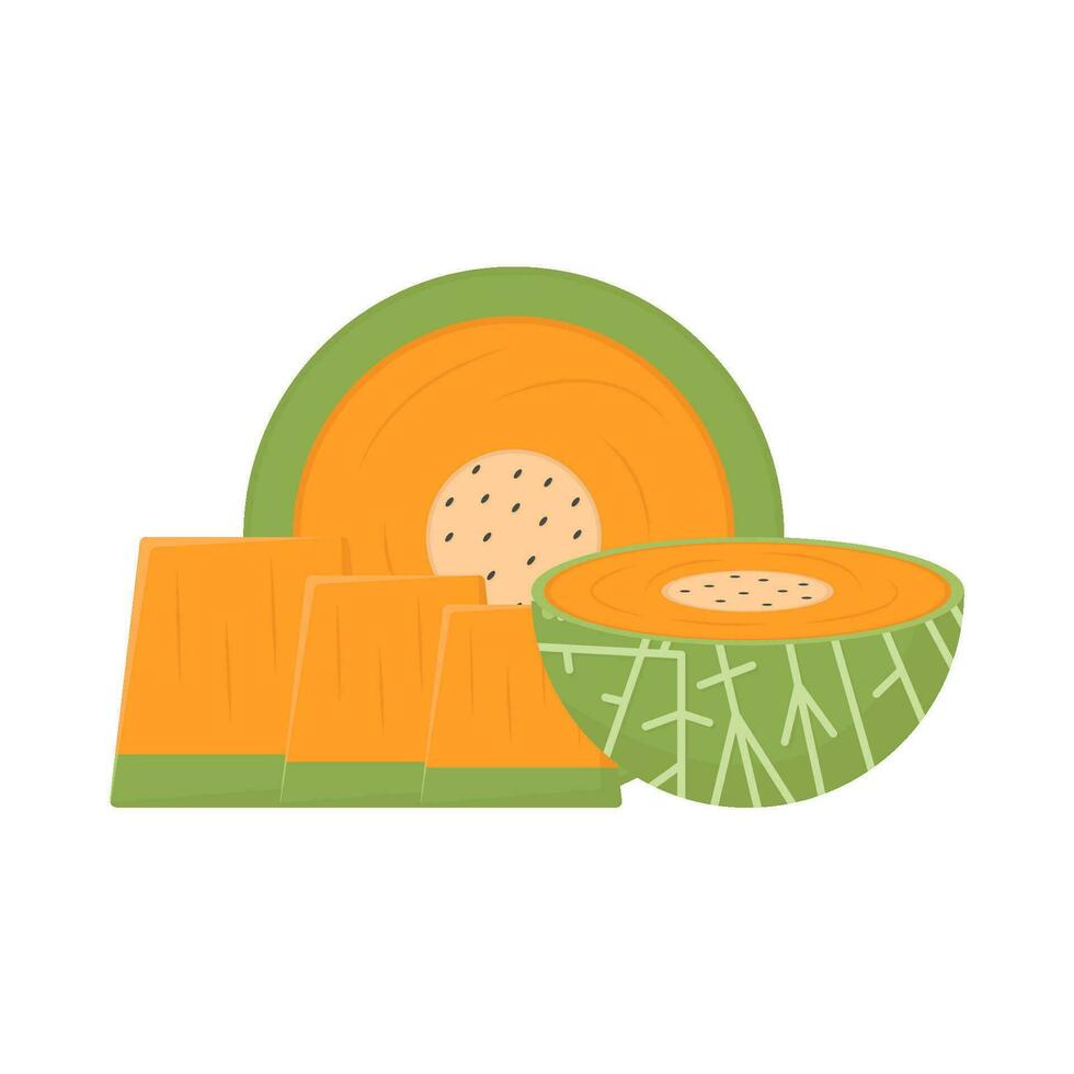 cantaloupe slice illustration vector