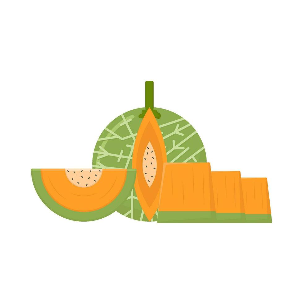 Cantalupo rebanada ilustración vector