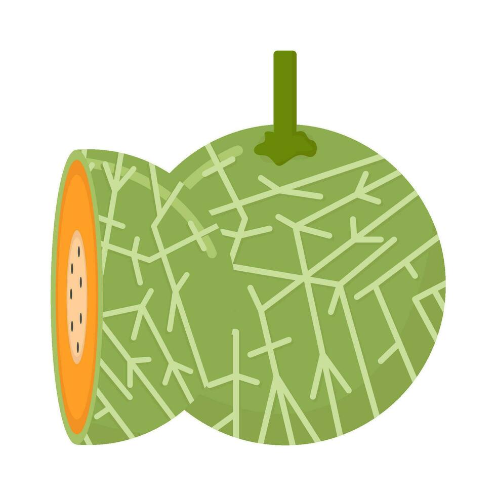 Cantalupo con Cantalupo rebanada ilustración vector
