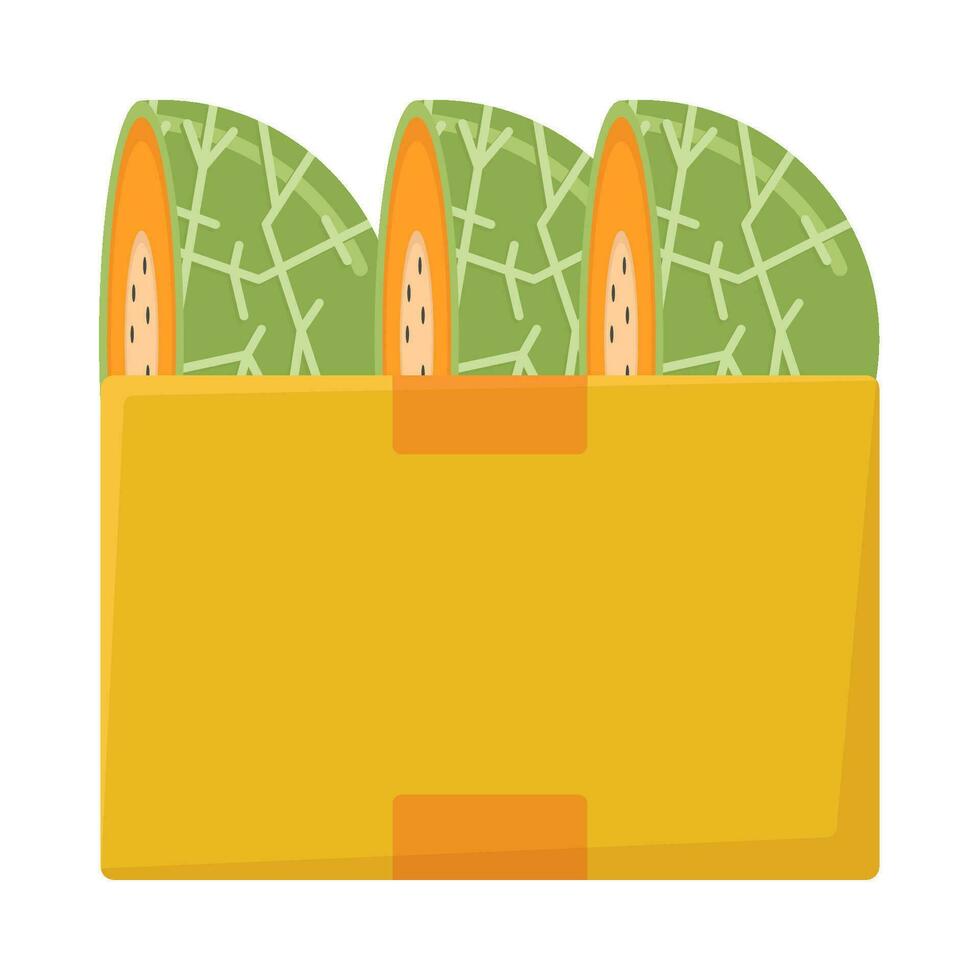 cantaloupe slice in box illustration vector