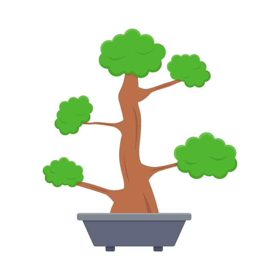 bonsai tree in pot illustration vector