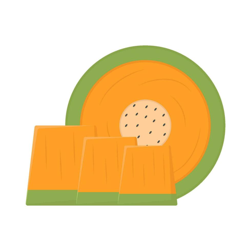 cantaloupe slice fruit illustration vector