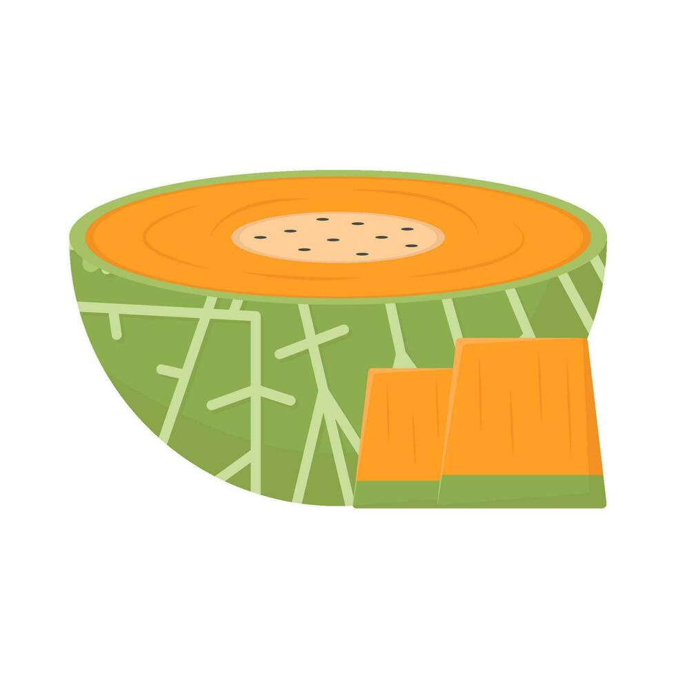 cantaloupe slice fruit illustration vector