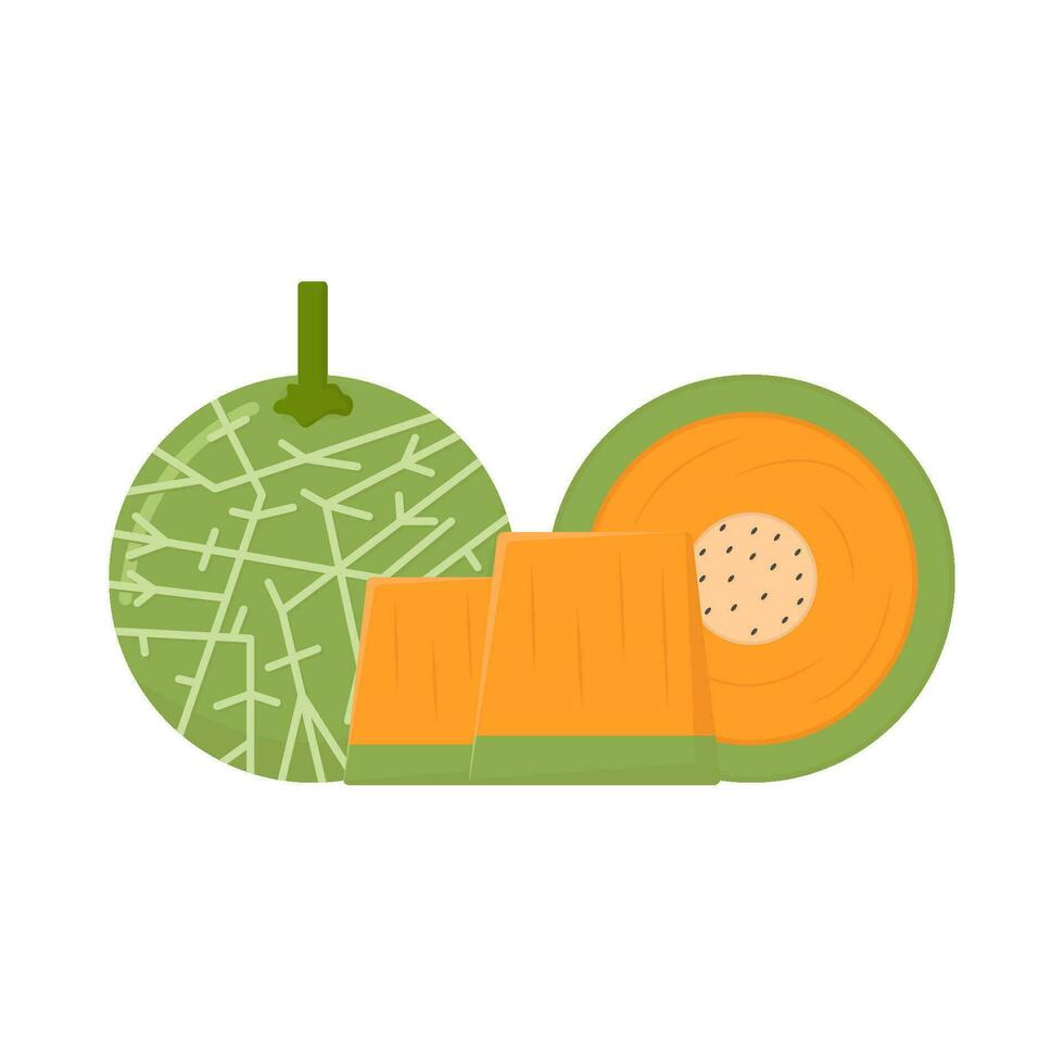cantaloupe with cantaloupe slice illustration vector