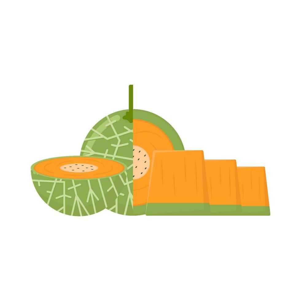 Cantalupo rebanada Fruta ilustración vector