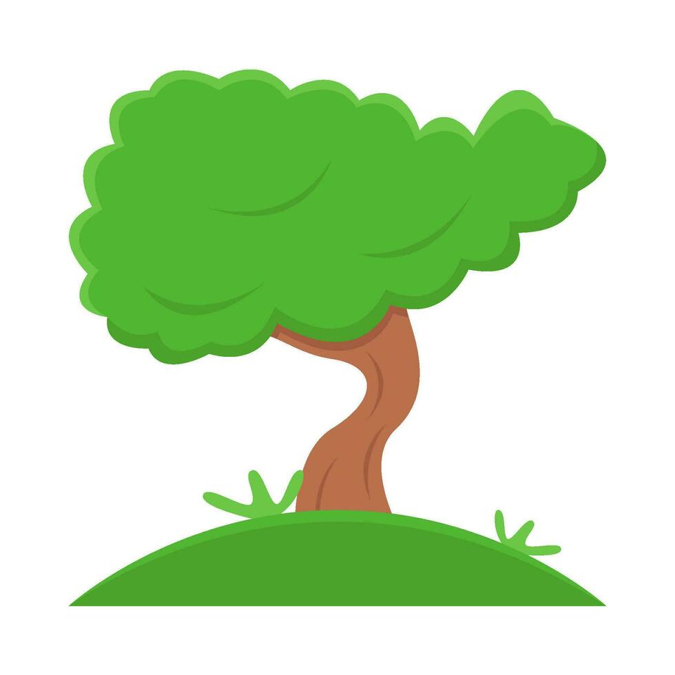 bonsai tree illustration vector