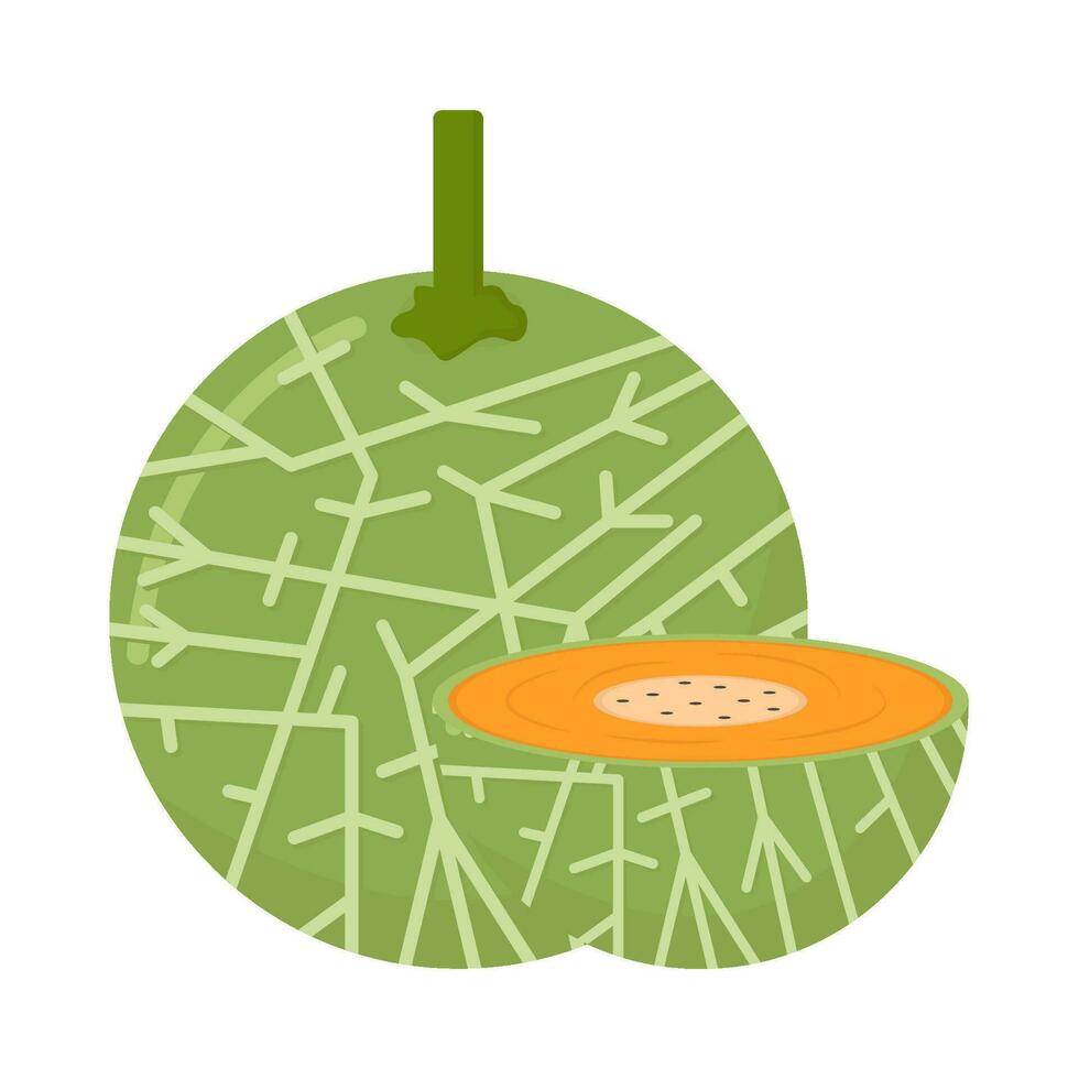 cantaloupe with cantaloupe slice illustration vector