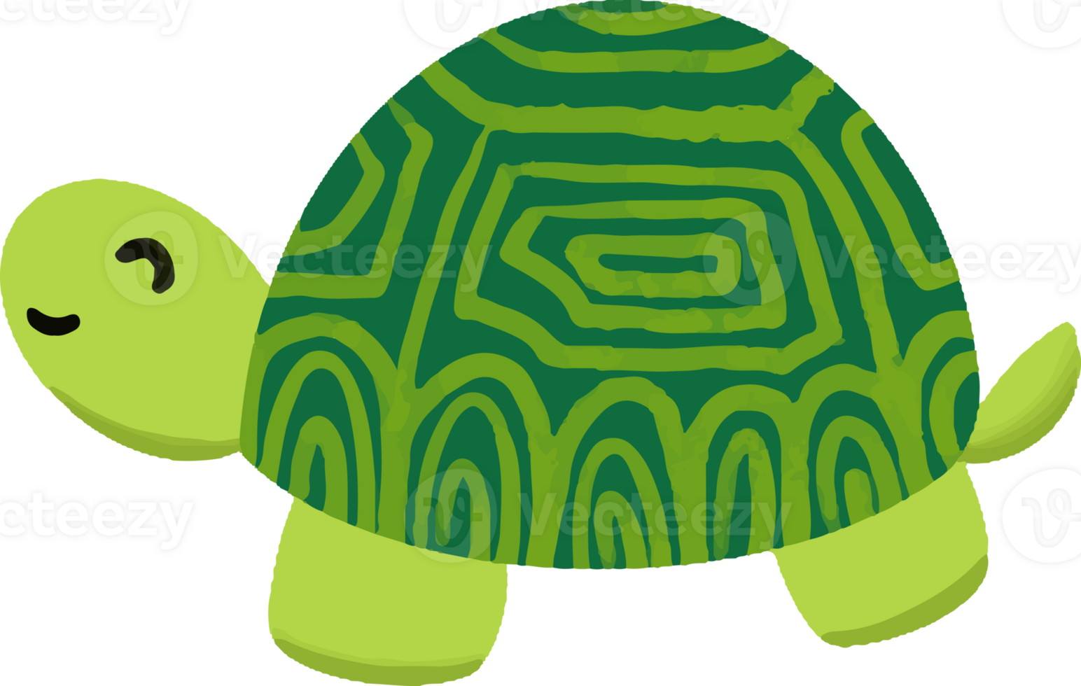 mignonne tortue illustration png