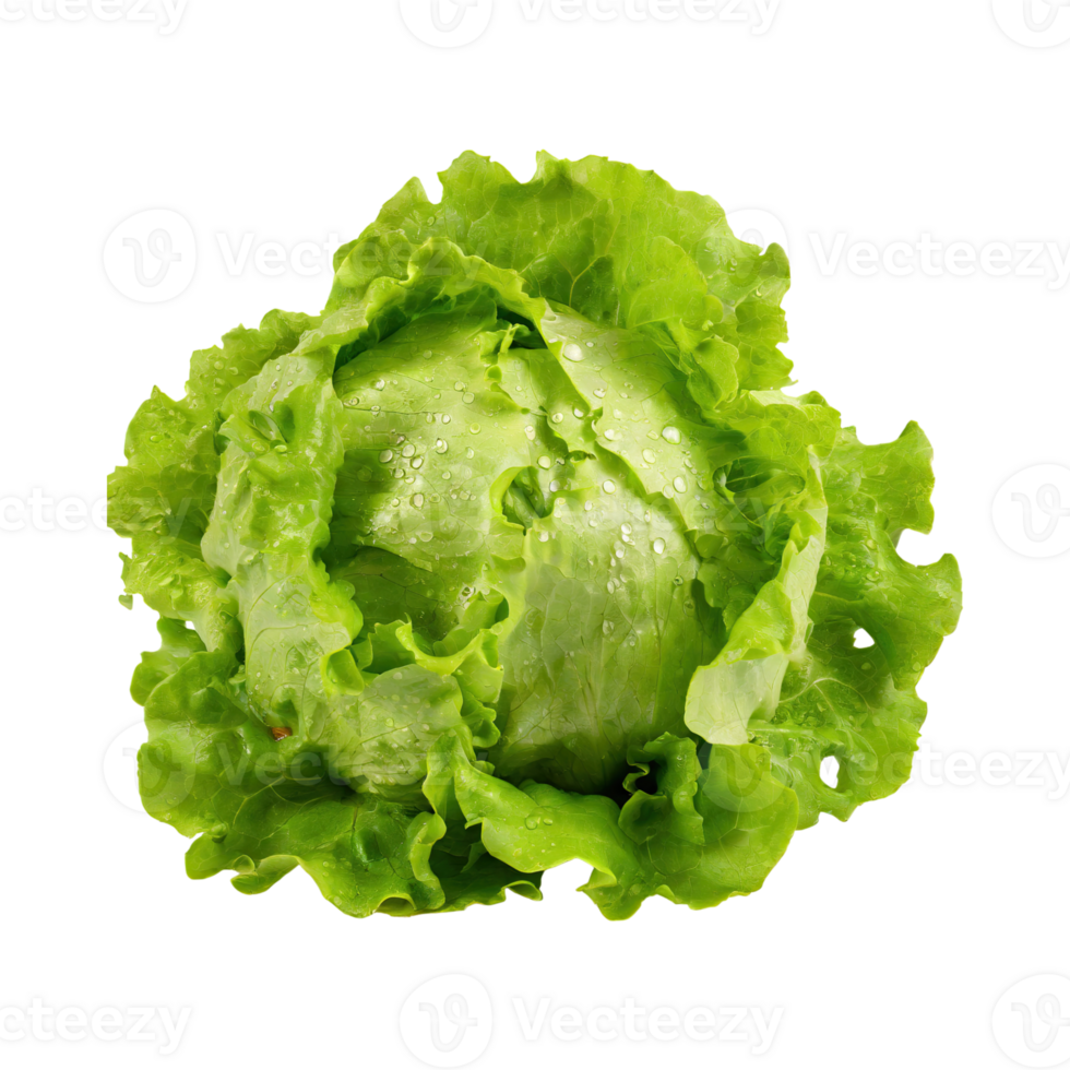 AI generated A Fresh And Crunchy Lettuce With Water Drops png