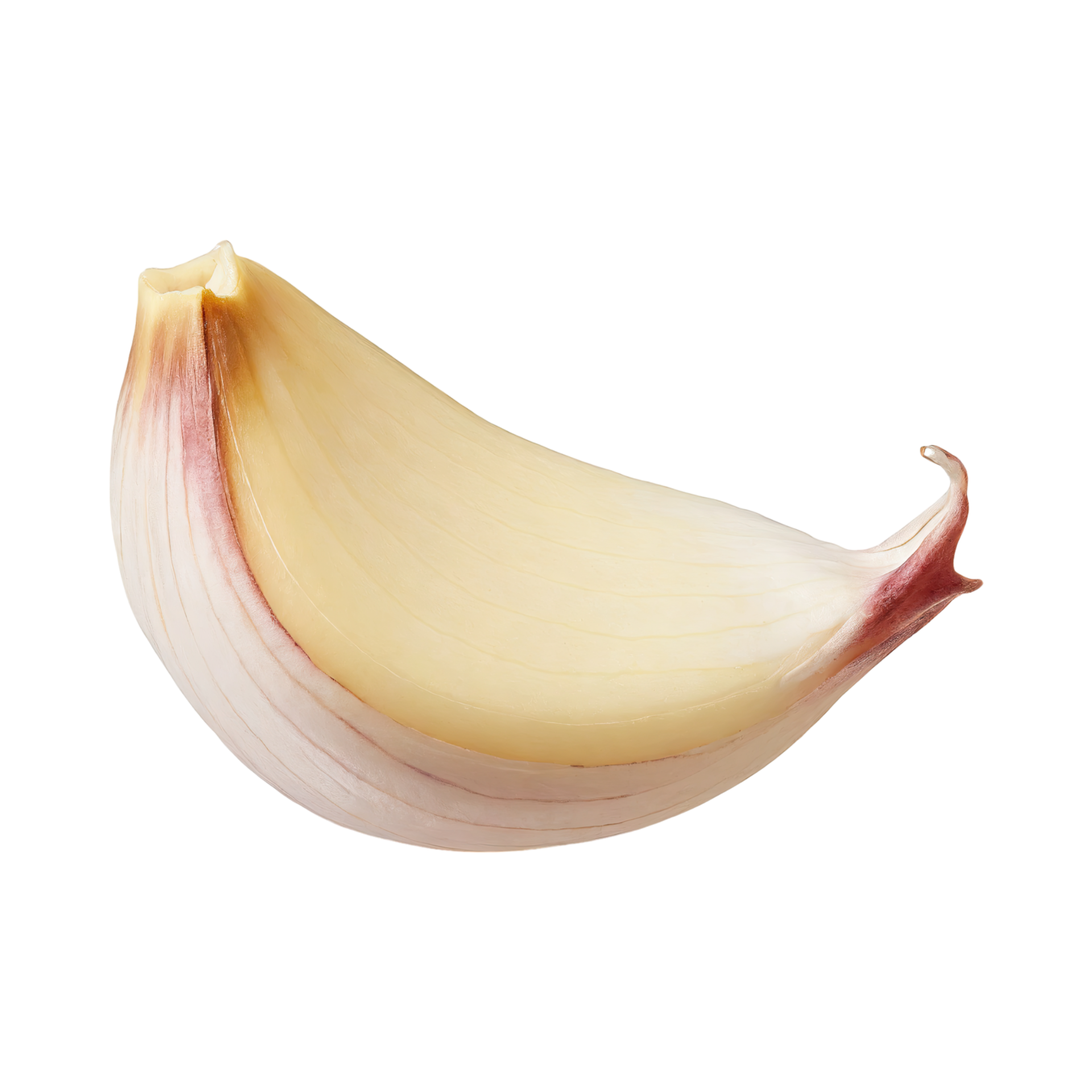 AI generated A Peeled Garlic Clove With, Without Shadow 36418674 PNG