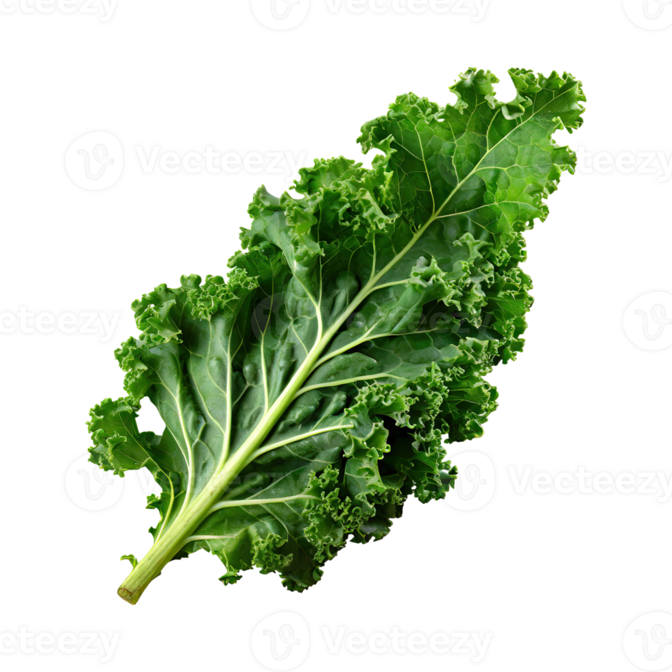 AI generated A Green Kale Leaf With Curly Edges ,Without Shadow png
