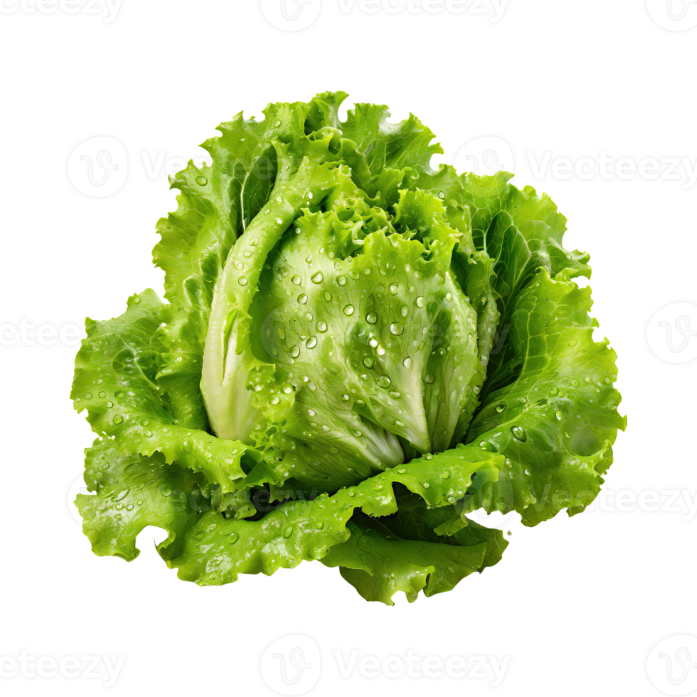 AI generated A Fresh And Crunchy Lettuce With Water Drops png