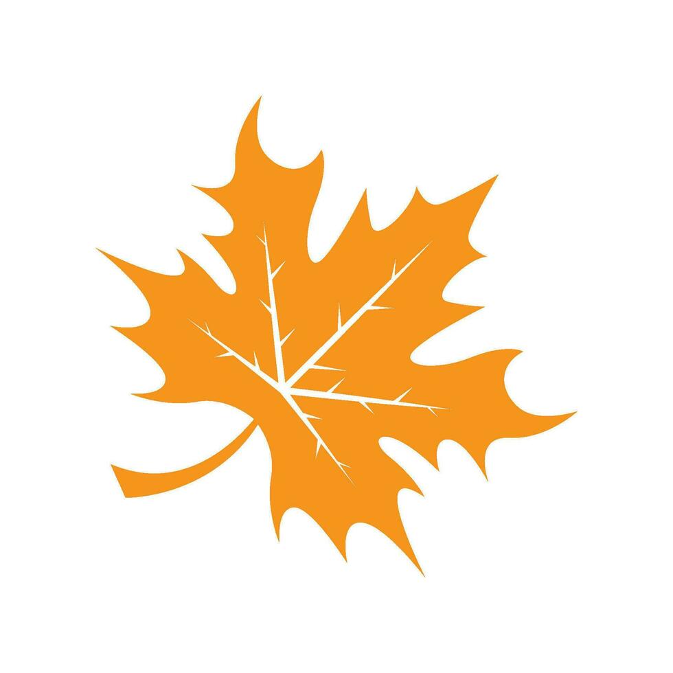 Maple leaf icon logo design vector