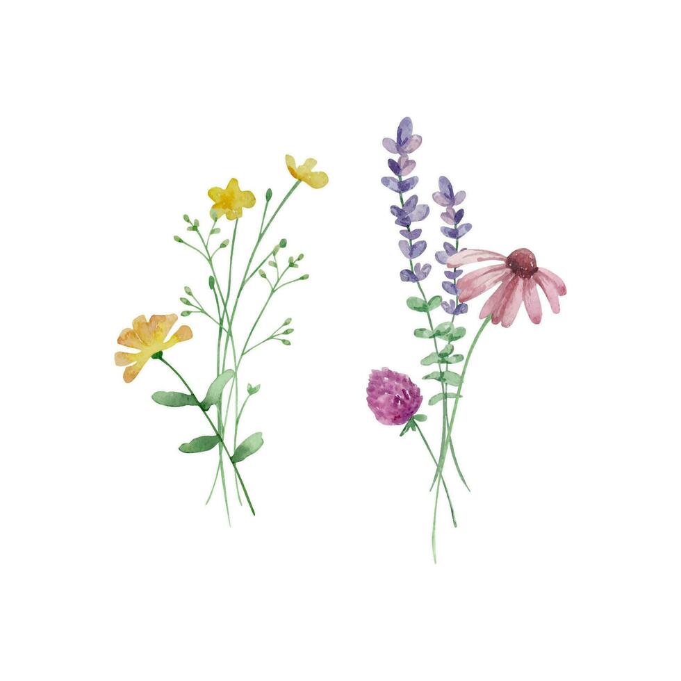 acuarela ramo de flores de flores silvestres, ilustración para tarjetas y invitaciones vector