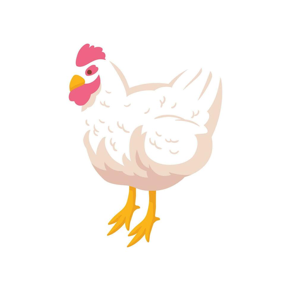 vector pollo ilustración en blanco antecedentes