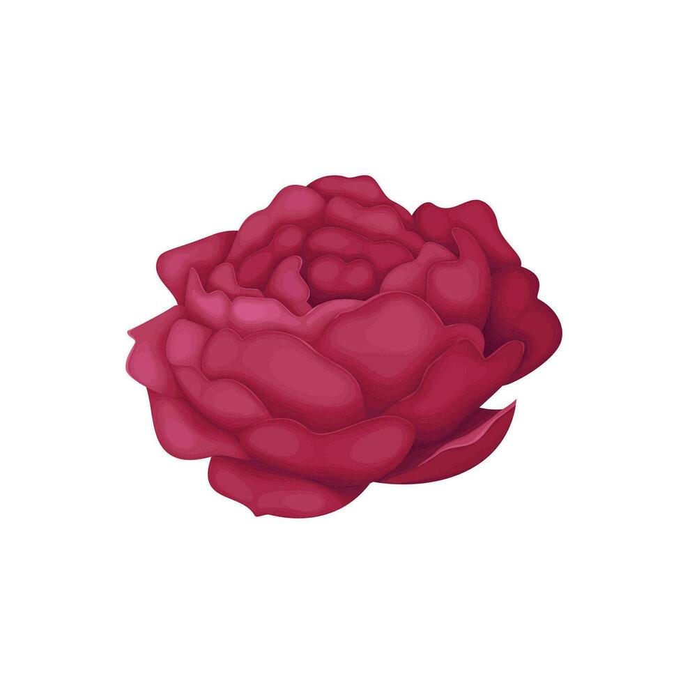 vector mano dibujado Rosa ramo de flores en blanco antecedentes