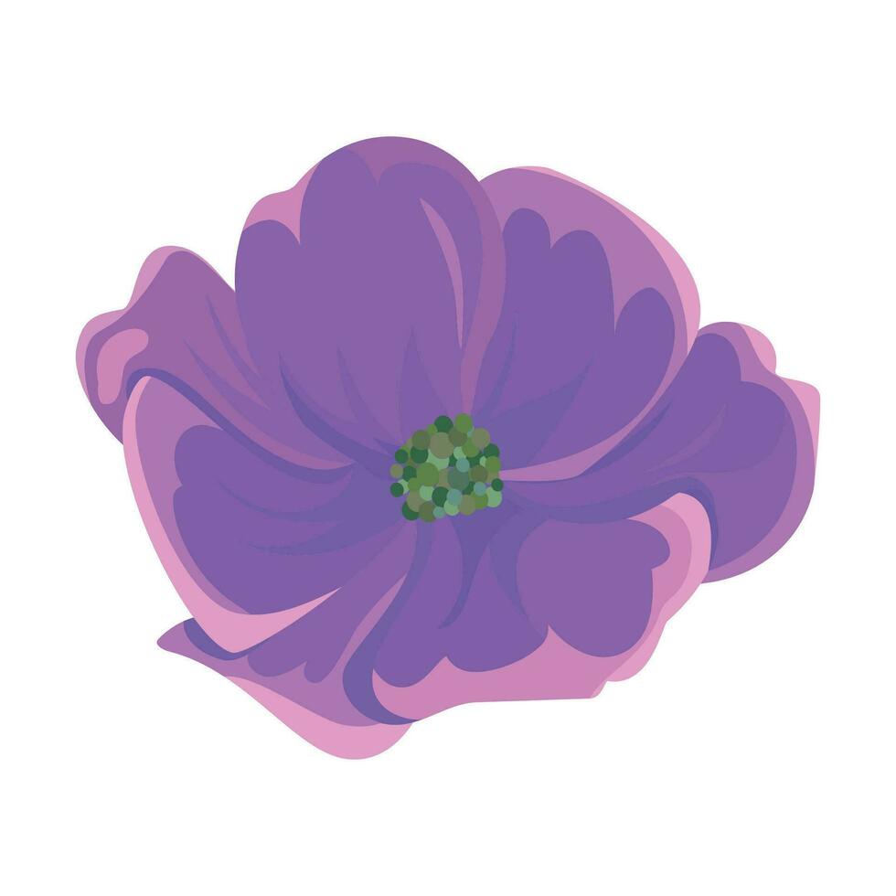 Vector hand drawn flower on white background