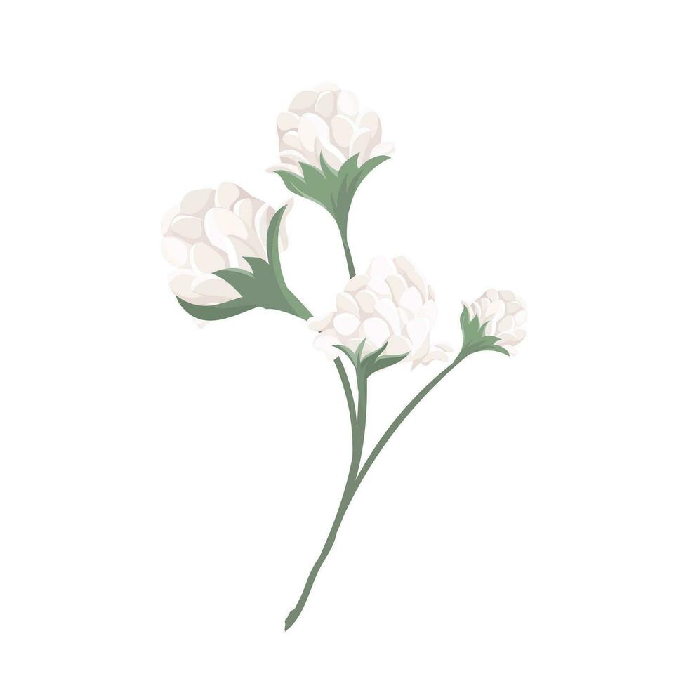 vector botánico flor diseño en aislado antecedentes