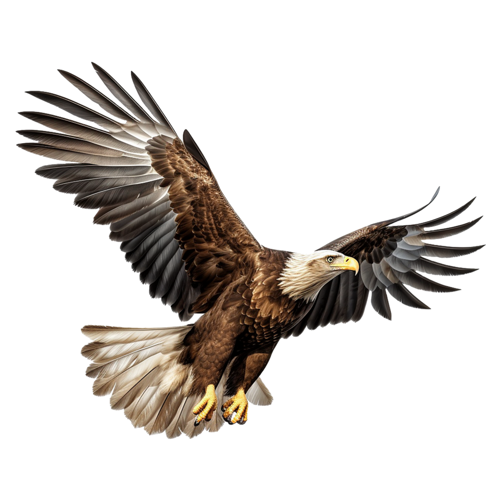 AI generated Eagle isolated on transparent background png