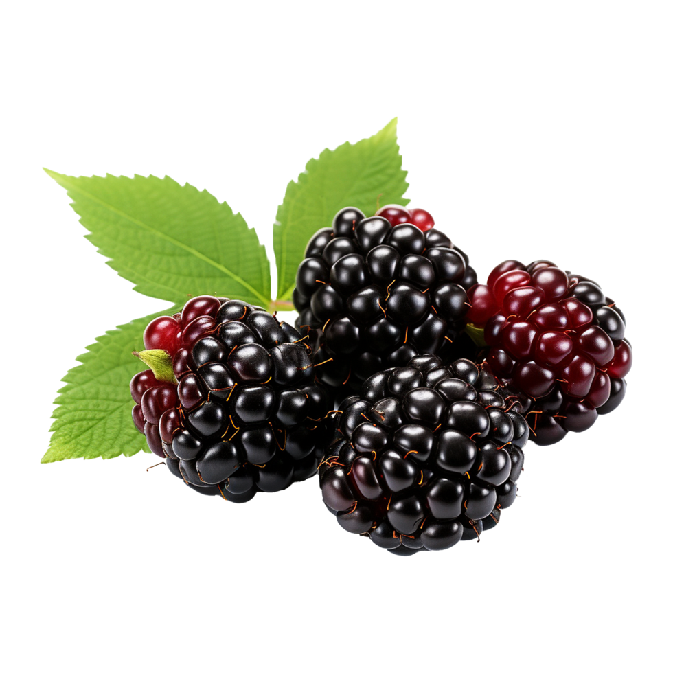 AI generated Blackberry isolated on transparent background png