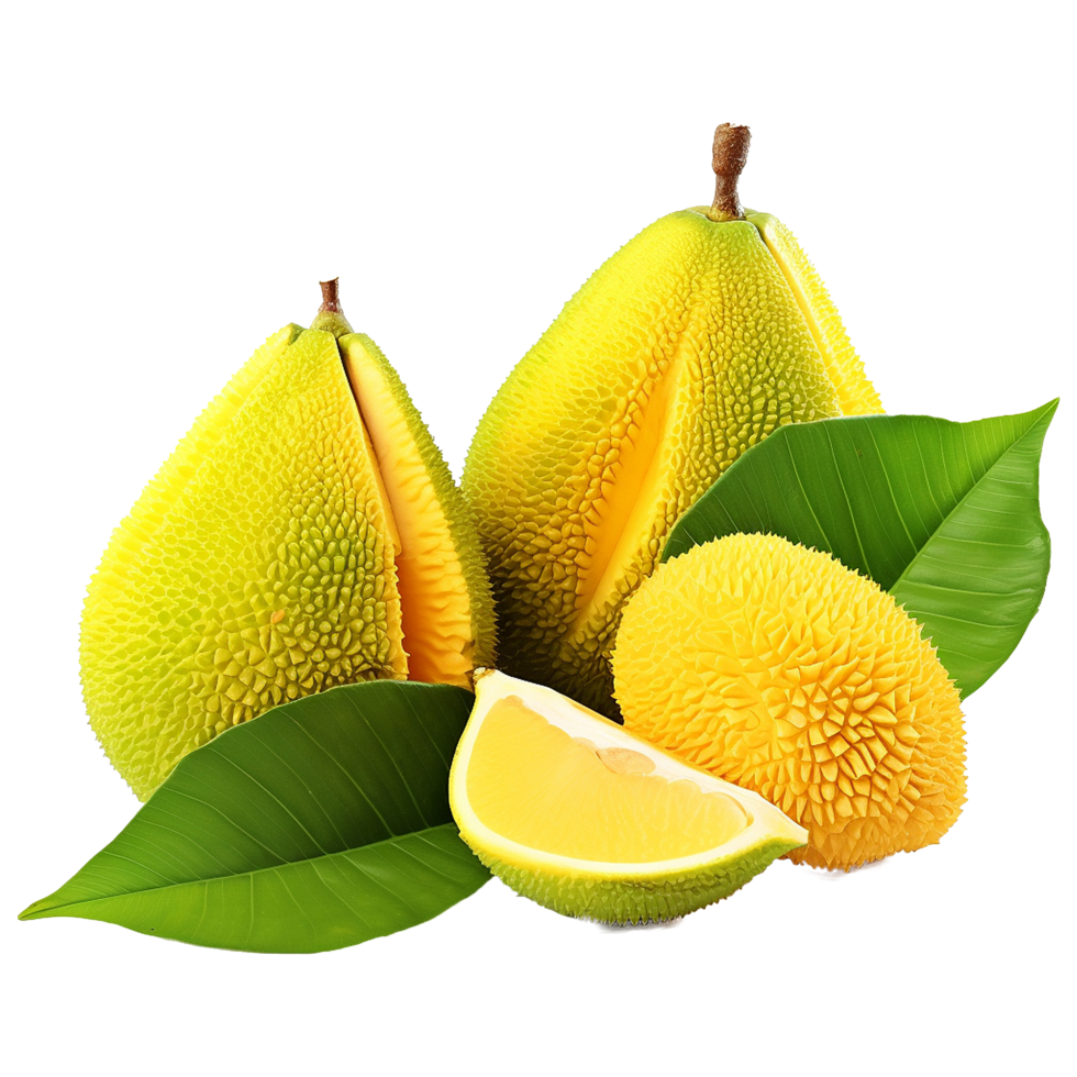 AI generated jackfruit isolated on transparent background png