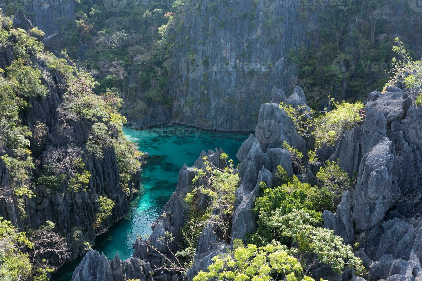 Aerial view of Twin Lagoon in the Philippines photo