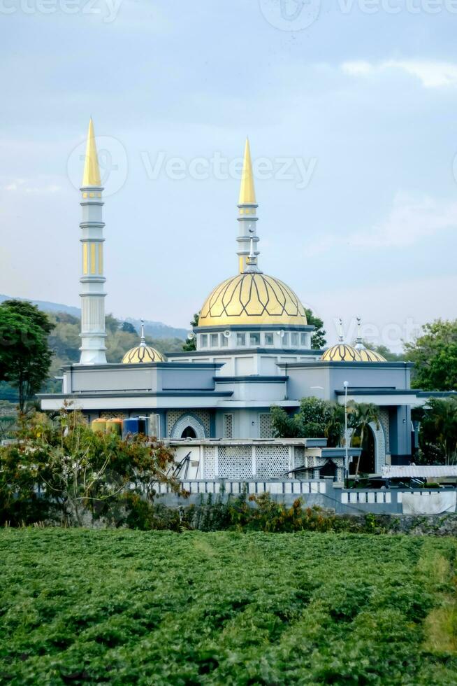 Indonesian Islamic mosque located among rice fields. photo