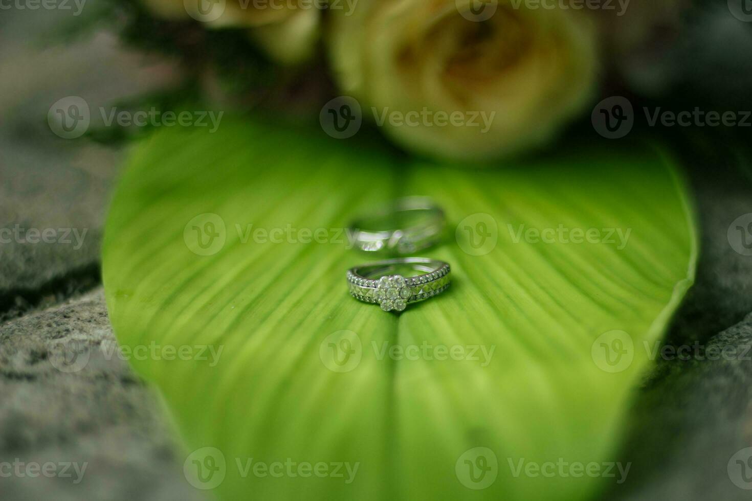 Pair of wedding rings photo
