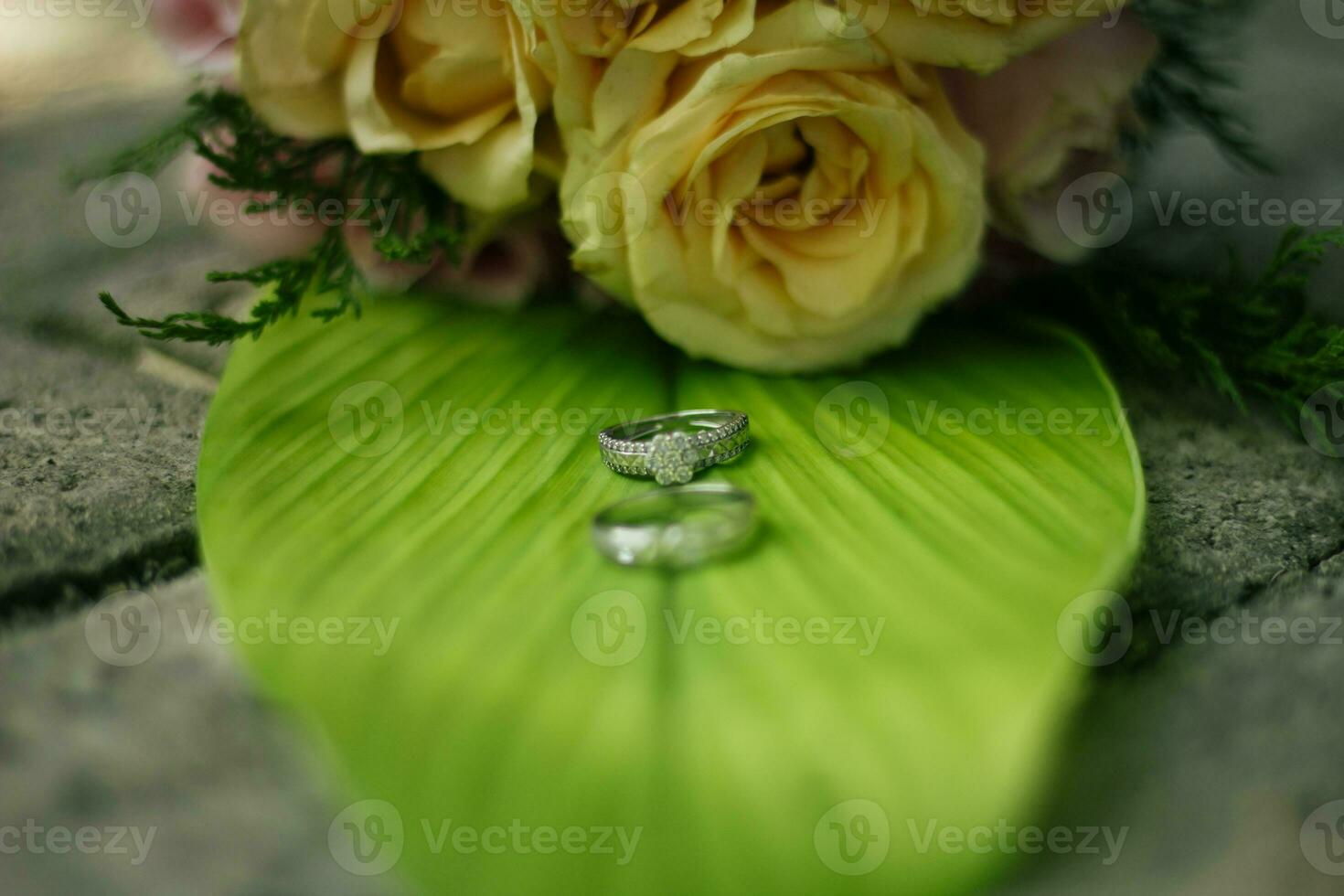 Pair of wedding rings photo