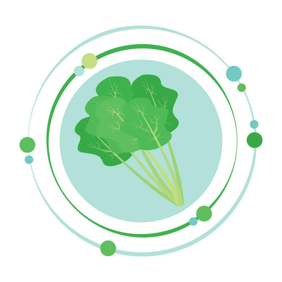 Spinach superfood vector illustration graphic icon logo