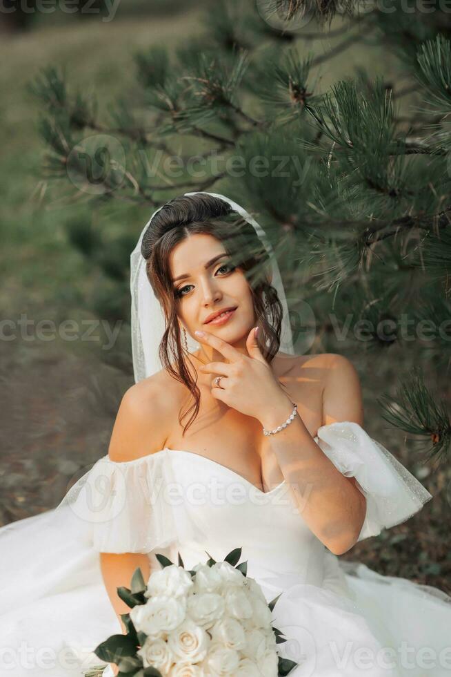 portrait of the bride in nature. A brunette bride in a white voluminous dress is sitting, posing near a coniferous tree, holding a bouquet of white roses. Beautiful hair and makeup. Warm light photo