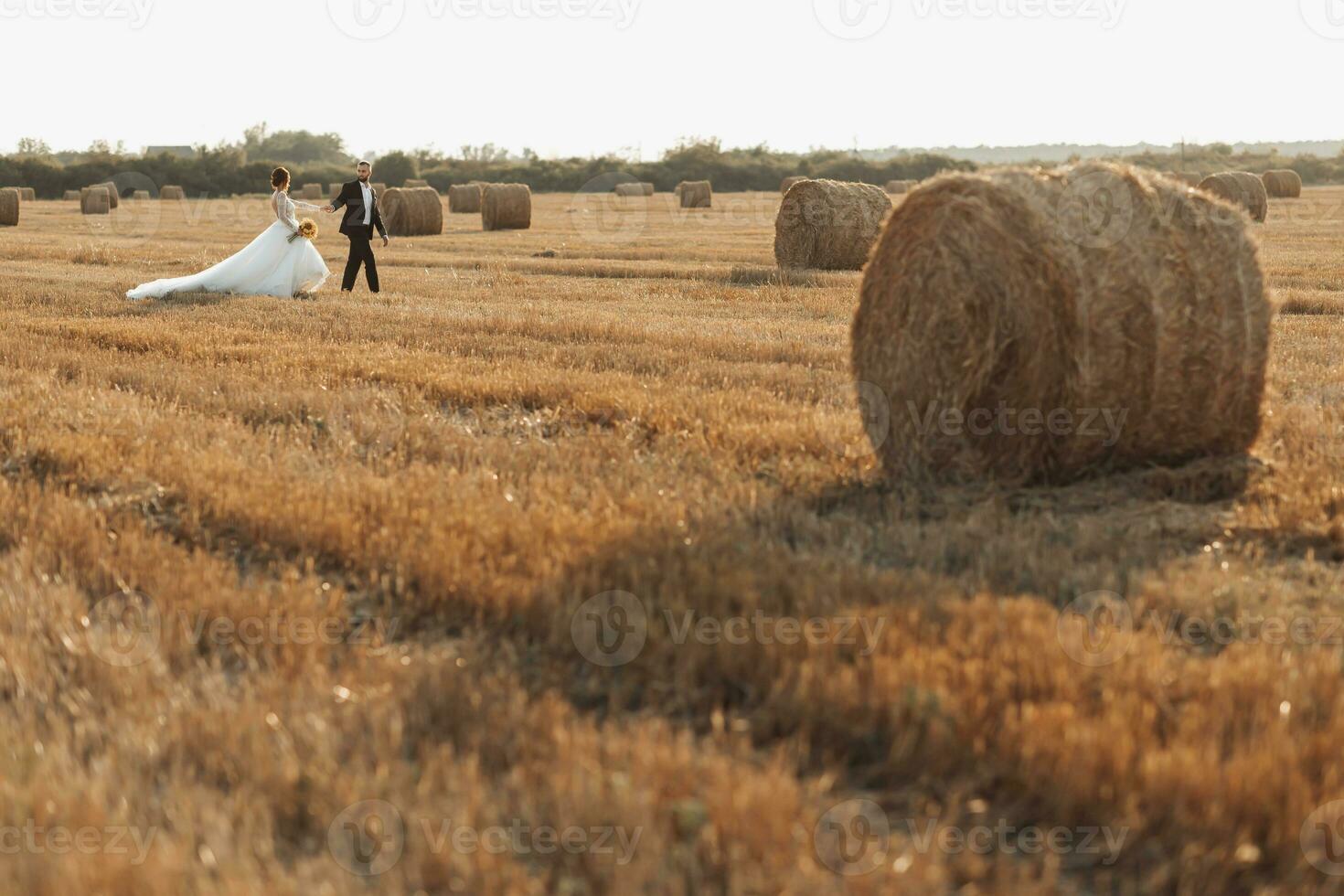 Wide-angle wedding portrait of the bride and groom. Bride and groom on the background of hay, walking across the field holding hands. Red-haired bride in a long dress. Stylish groom. Bales of hay photo