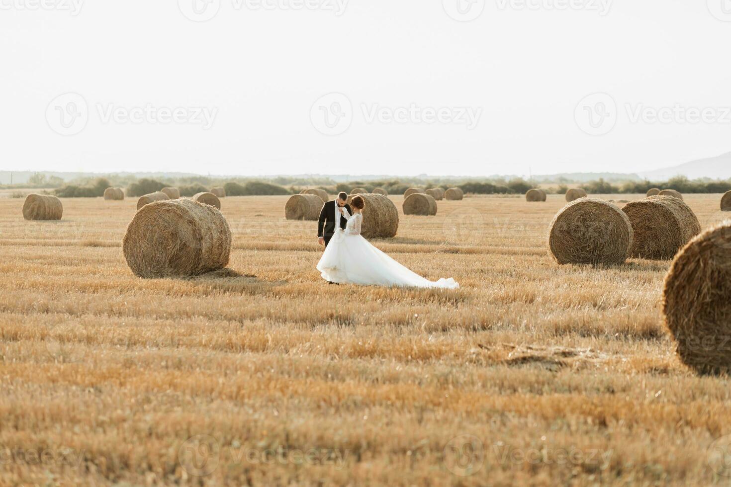 Wedding portrait of the bride and groom walking on the background of hay. The groom holds the hand of the bride and looks at her, her gaze down. Red-haired bride in a long dress. Stylish groom. Summer photo