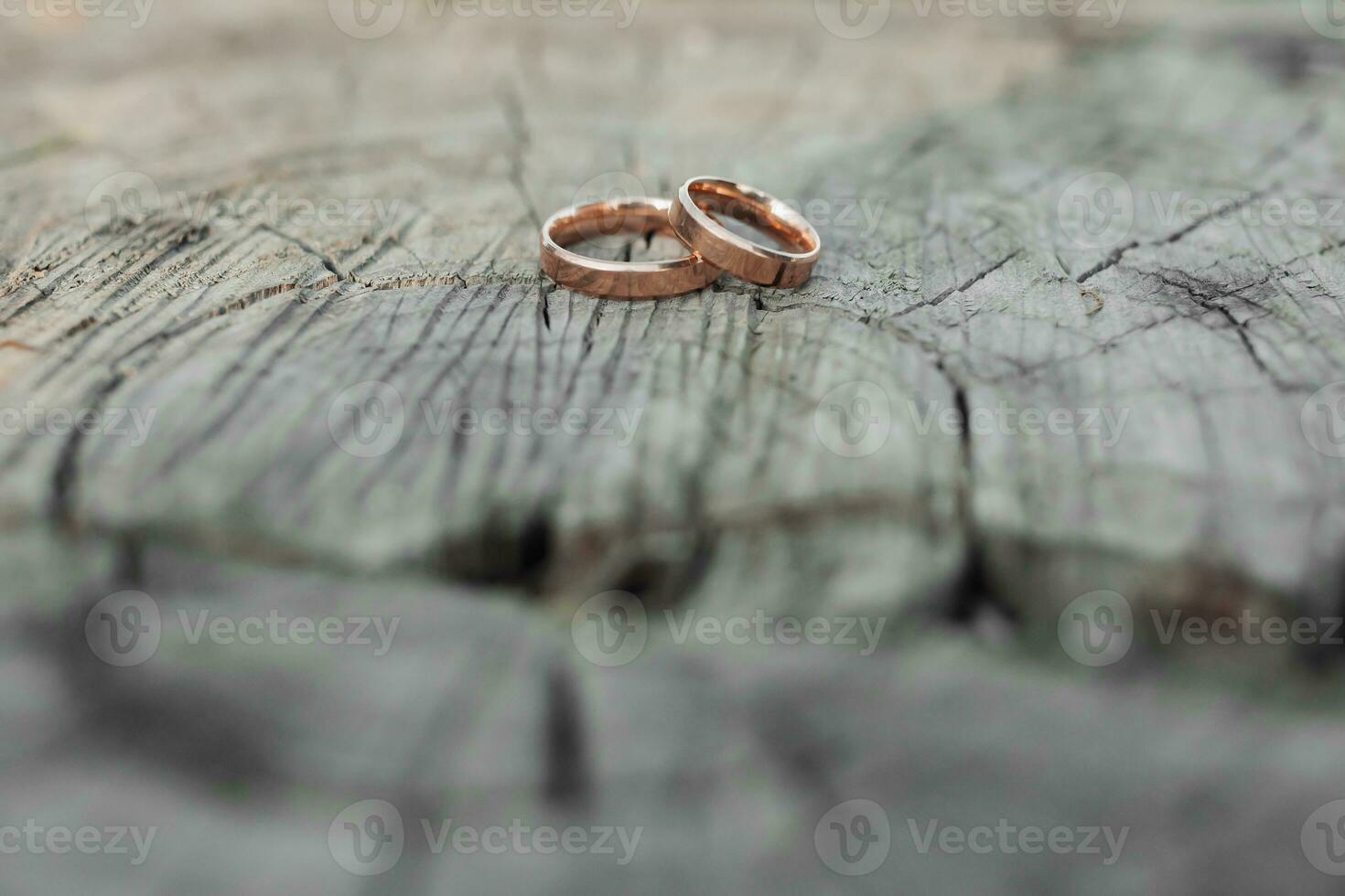 Wedding rings stand on a tree background. Wedding details. Rings on a tree. Wedding photography. Close-up of wedding rings lying on the bark of a tree. blurred background photo