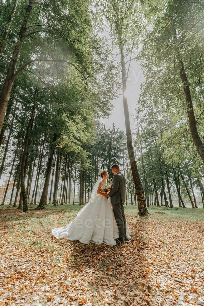 the bride and groom walk hand in hand through the forest. Happy couple. Wedding photo. Couple in love. Tall trees, wide-angle photo. Perfect light photo