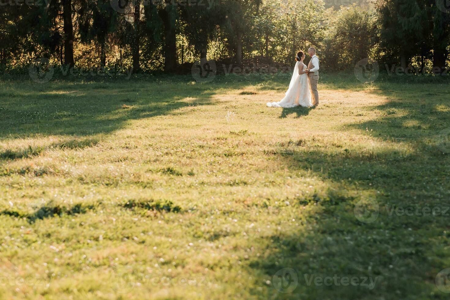 Happy bride and groom are standing on the field, looking at each other, behind them are big Christmas trees. Beautiful light that illuminates the bride and groom. Wedding photo. wide angle photo
