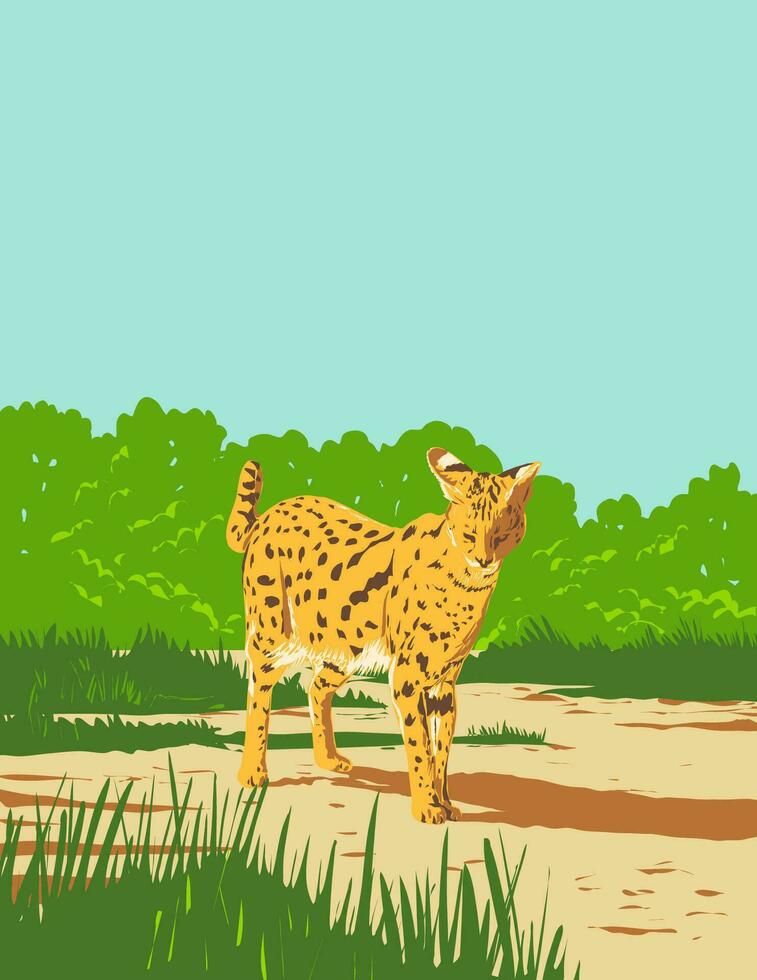 Serval or Leptailurus Serval in Kruger National Park South Africa Art Deco WPA Poster Art vector