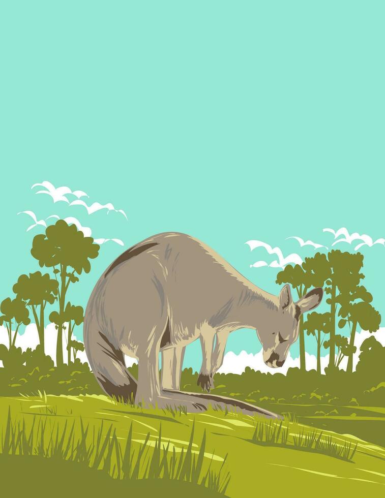 Kangaroo in Murramarang National Park New South Wales Australia Art Deco WPA Poster Art vector