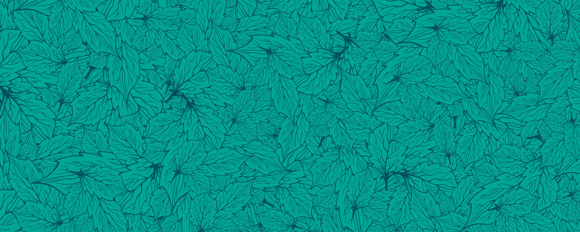Green leaves pattern background . Vector illustration. EPS10 36423639