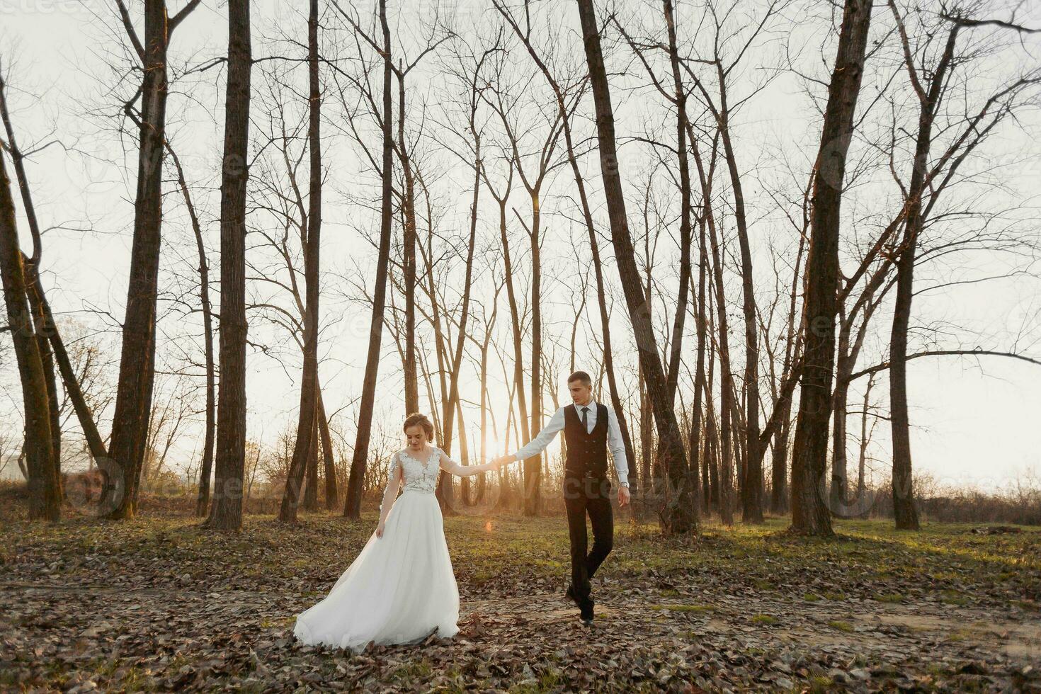Wedding photo. The bride and groom are walking in the forest. The groom holds the hand of his beloved. Long wedding dress. A couple in love among tall trees. Autumn sunlight. photo
