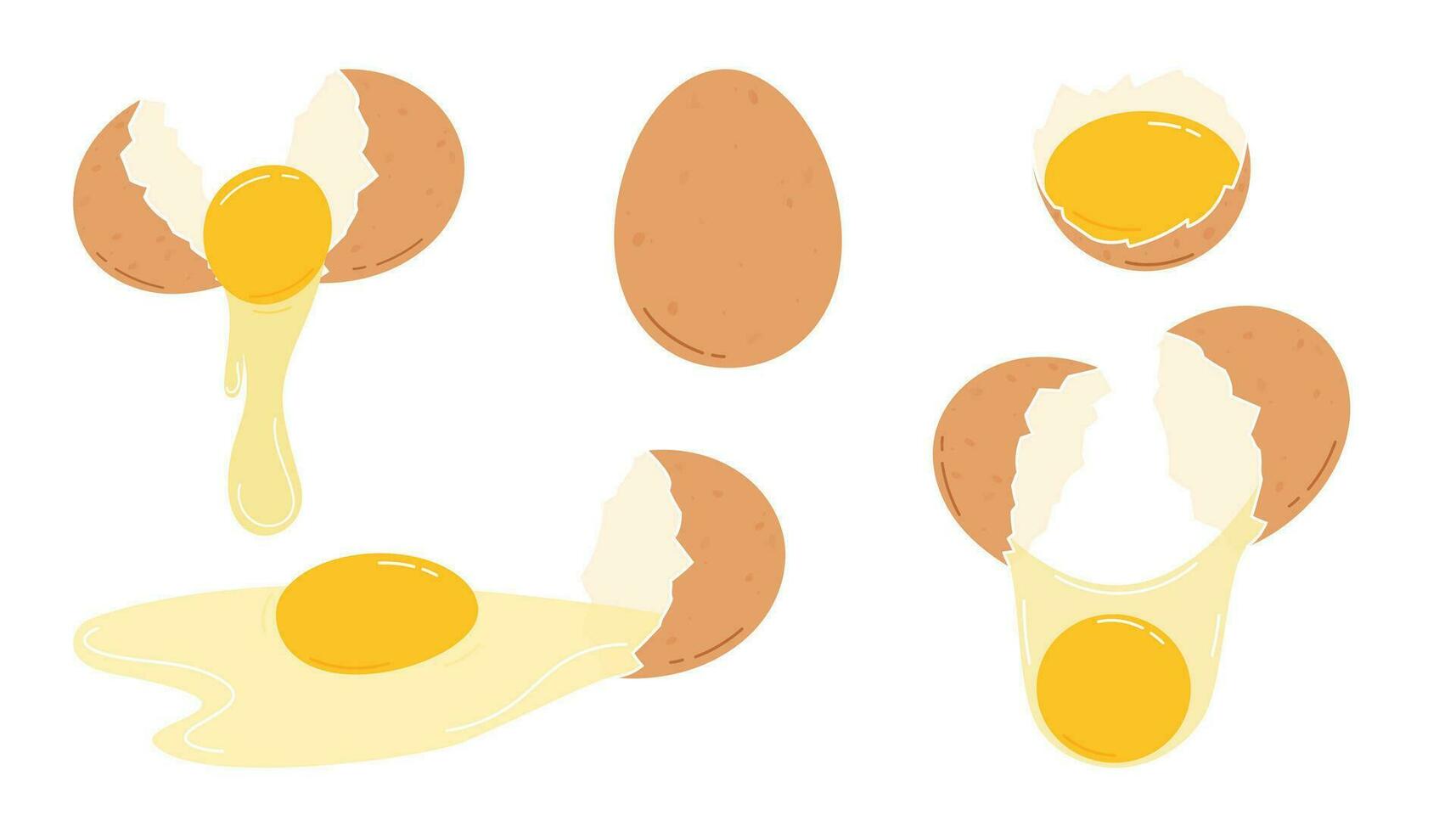Cracked chicken eggs set. Flat vector illustration isolated on white background