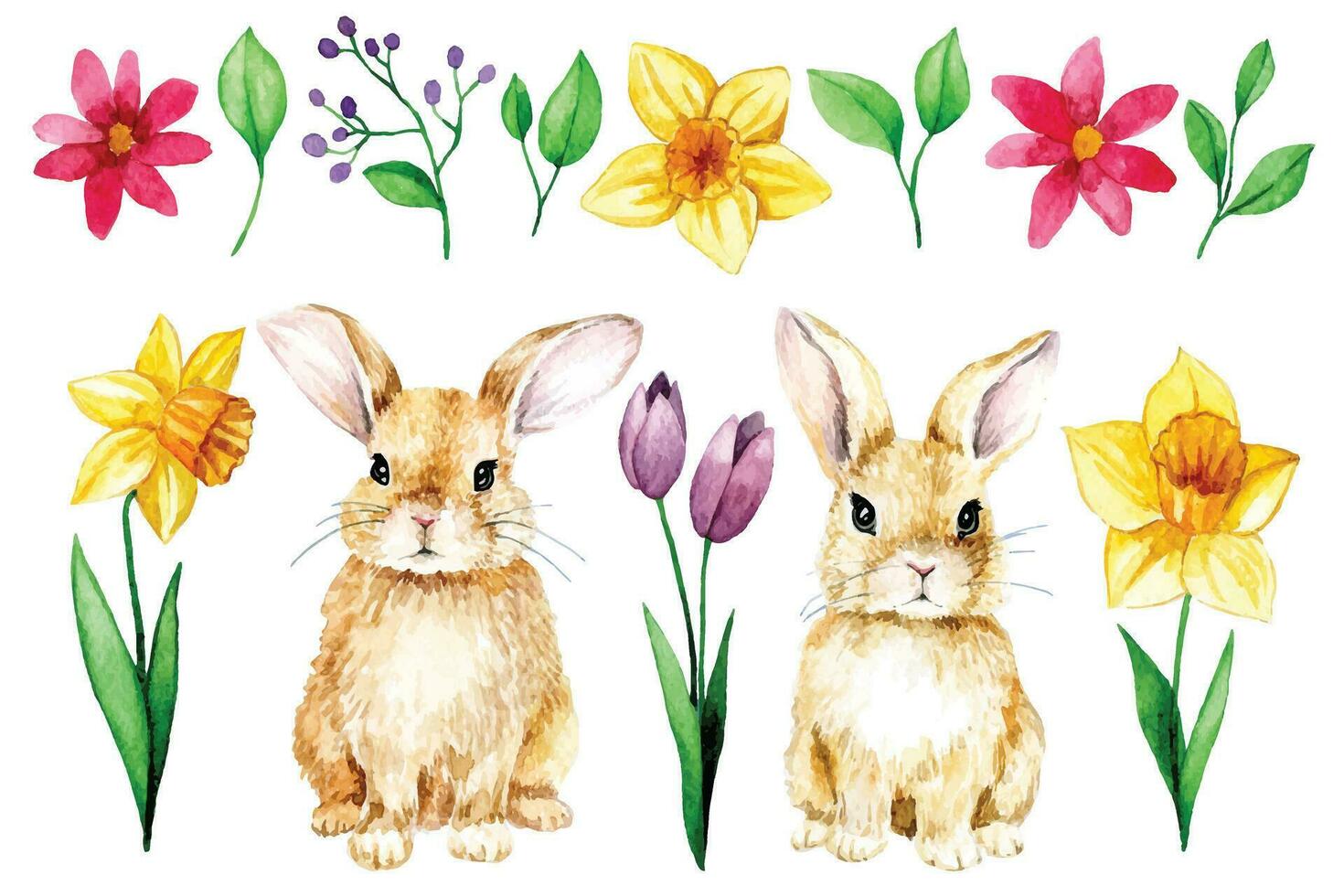 set of cute Easter bunnies and spring flowers. daffodils, tulips, holiday clipart vector