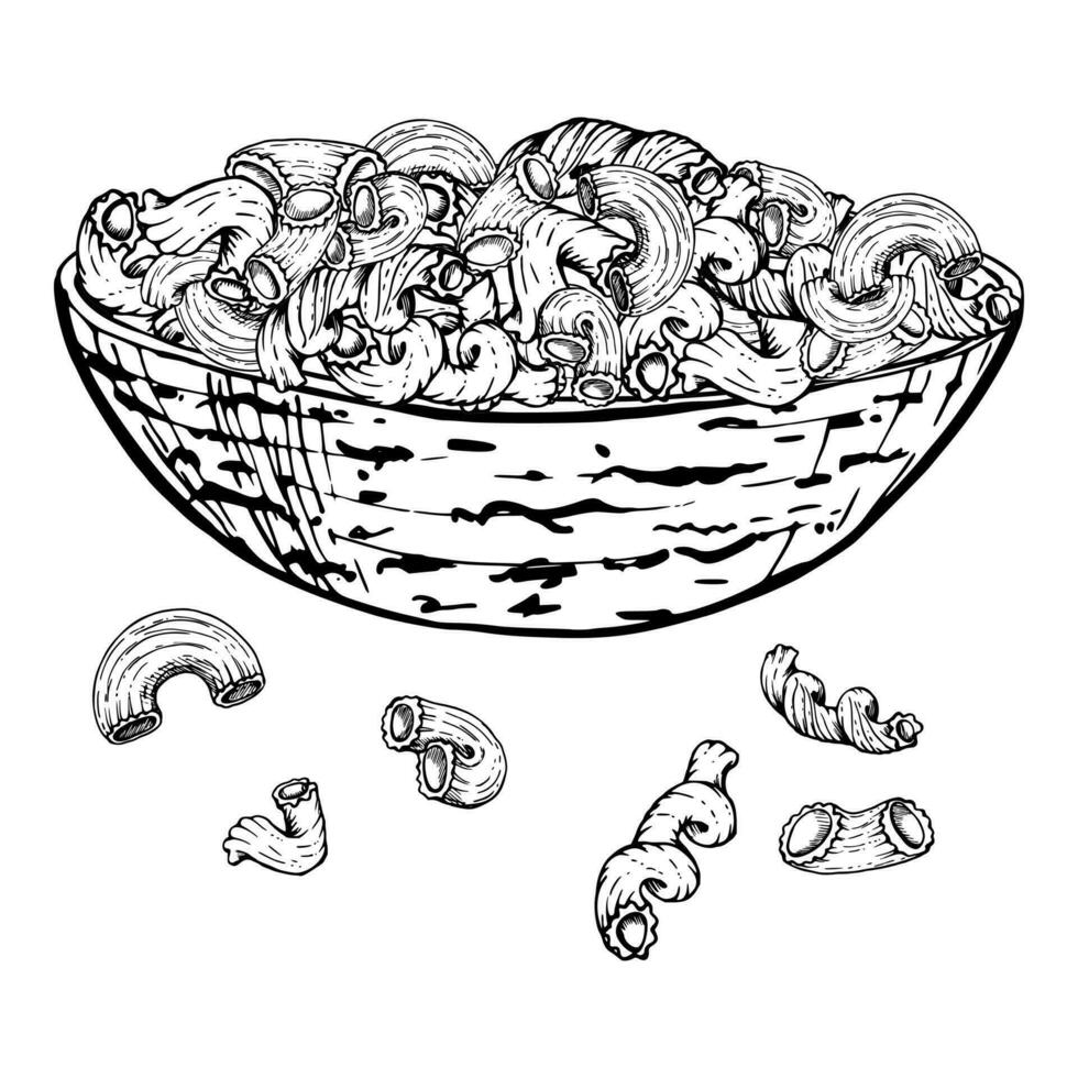 Hand drawn vector ink illustration. Pasta Italian cuisine dish elbows cavatappi penne fusilli rotini in a full bowl. Composition isolated on white. Restaurant, menu, food shop package, flyer, print.